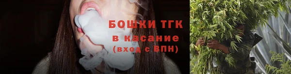 тгк Алексин